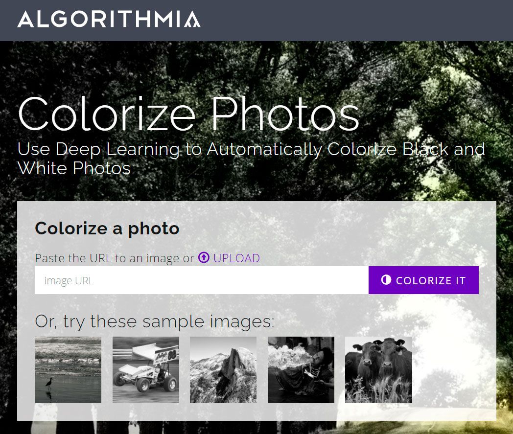 Fargelegg gamle bilder online med algoritmia..