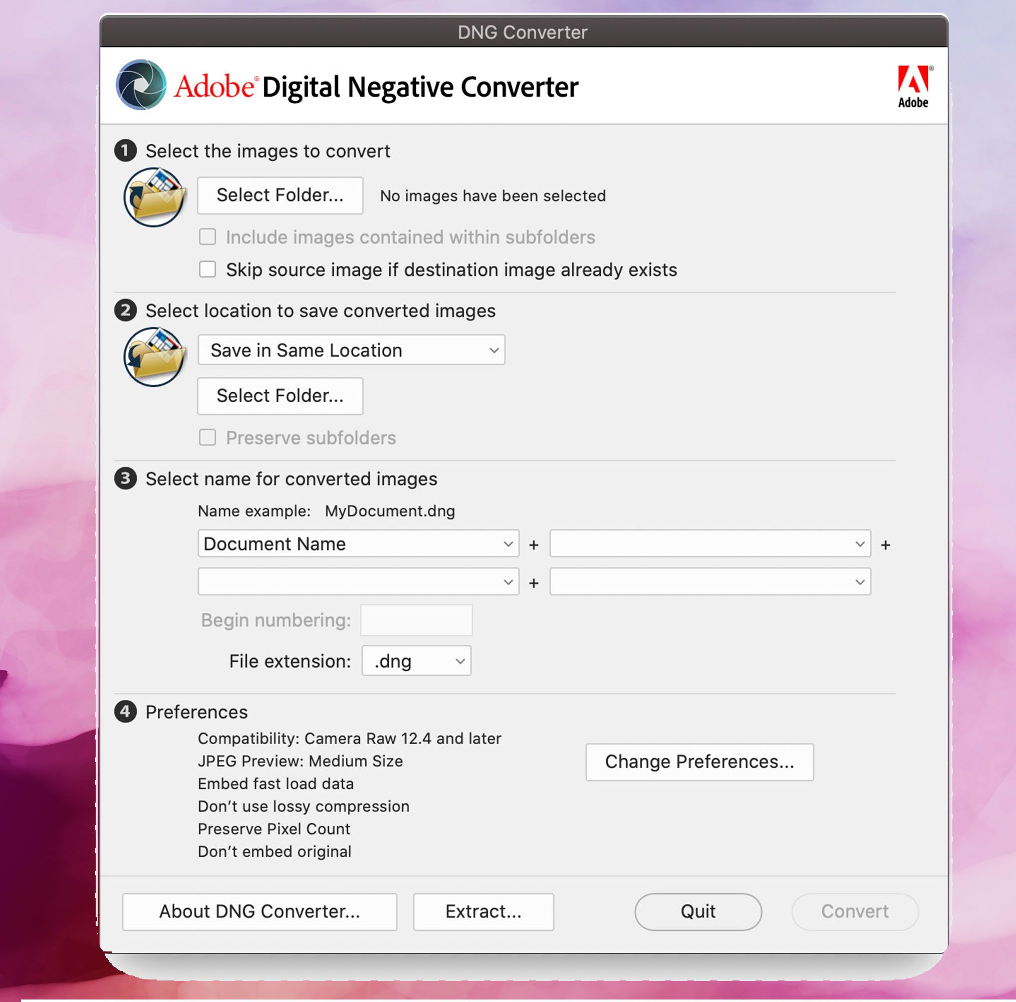 Adobe DNG Converter skjermbilde, Konverter DNG-bilder til JPEG..