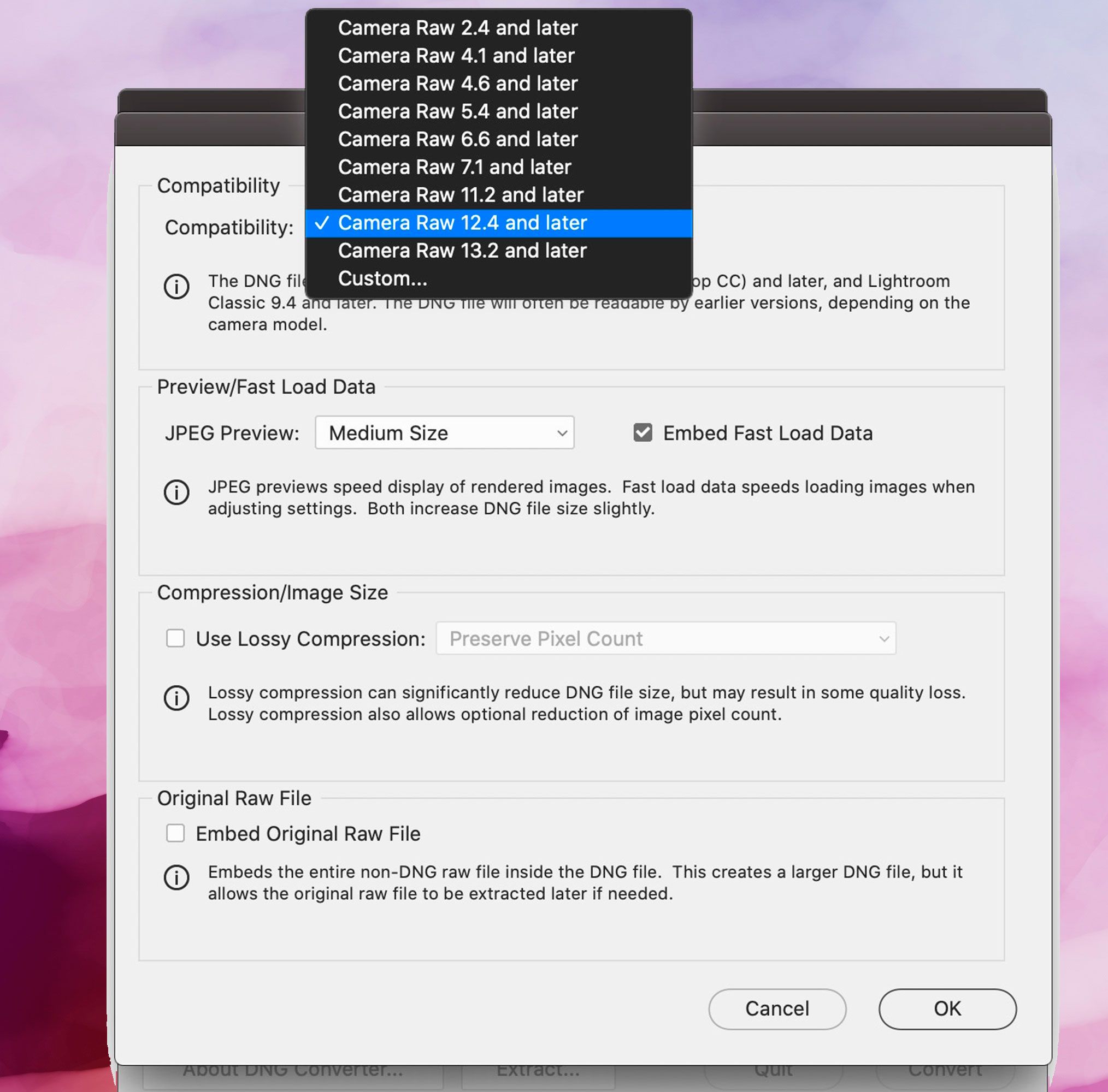 Adobe DNG Converter skjermbilde, Kompatibilitetsinnstillinger..