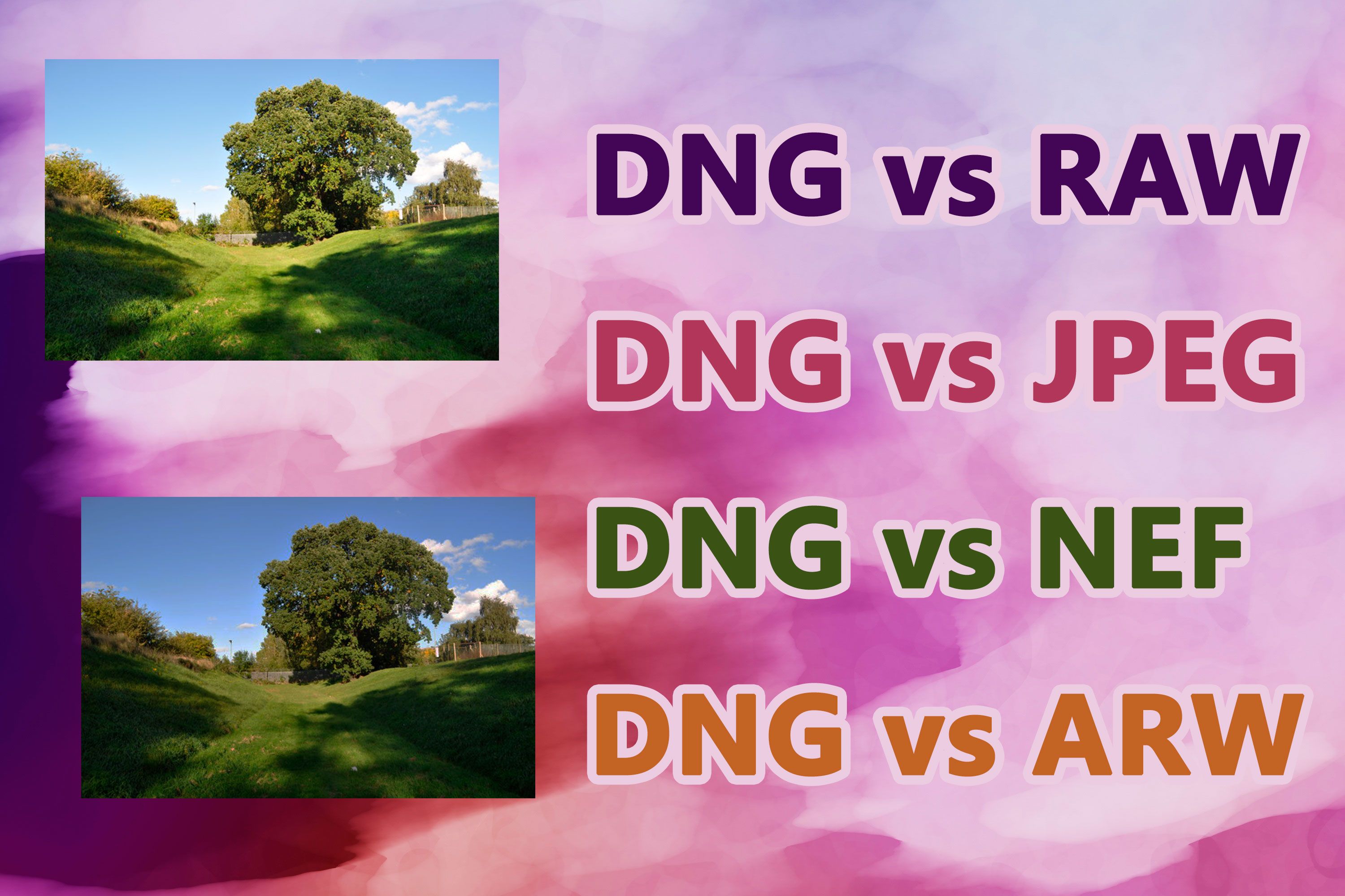 DNG vs RAW formater..